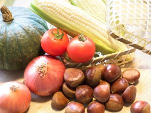 引っ越し後の節約!旬の野菜は安い